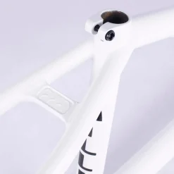 Biggie Frame / devon smillie signature / white