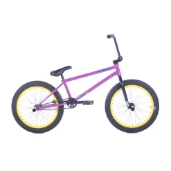 DEVOTION / panza purps