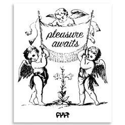 Pleasure Awaits Poster