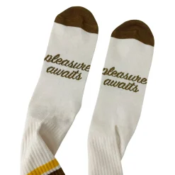 Pleasure Socks / brown